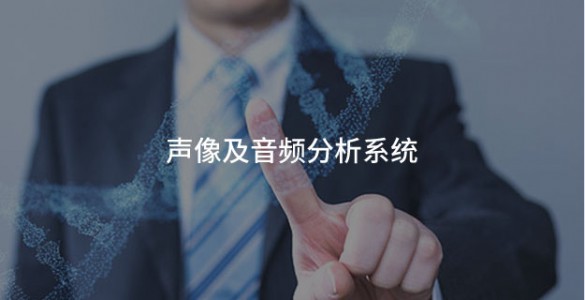 声像及音频分析系统